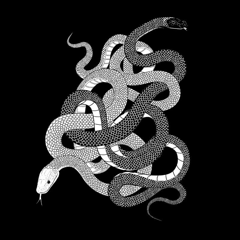 Serpents cadeau python anaconda snake