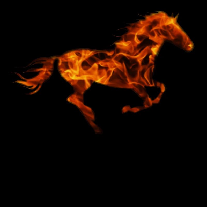 Cheval de cheval