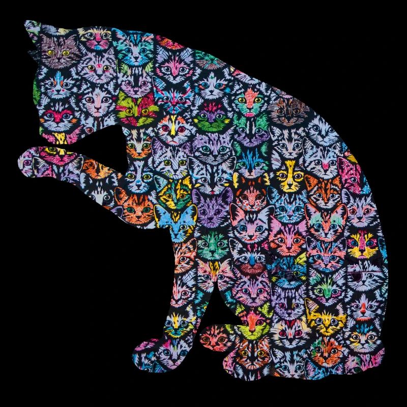 Chats dans un chat