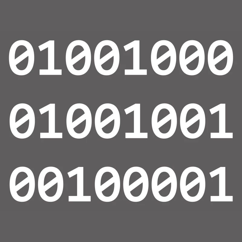 Hi Binary Programmierer grüßen sich so