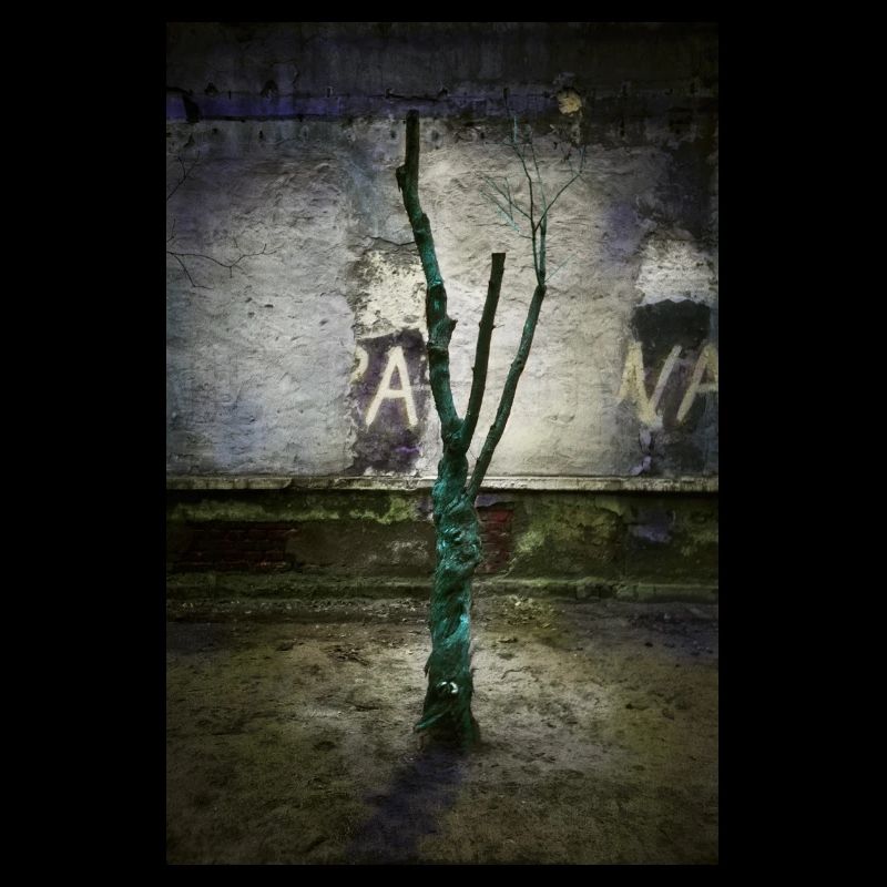 Arbre turquoise