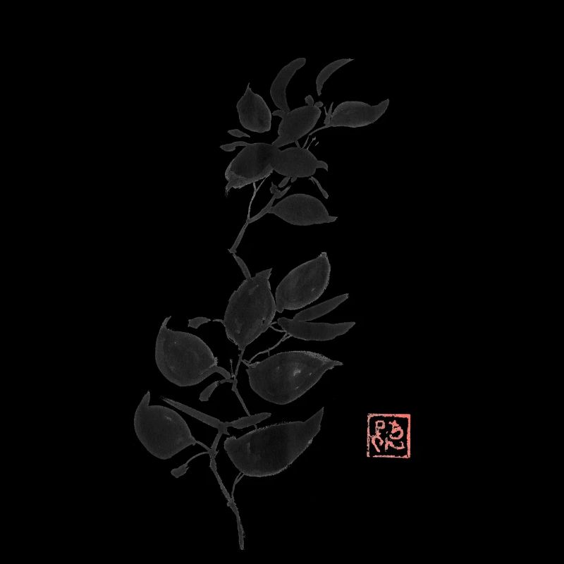 branch