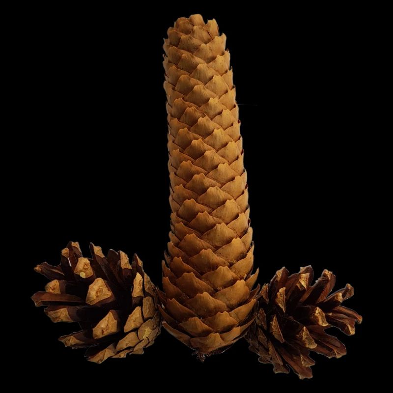 robinet
