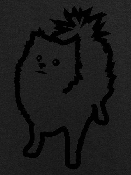 Spitz