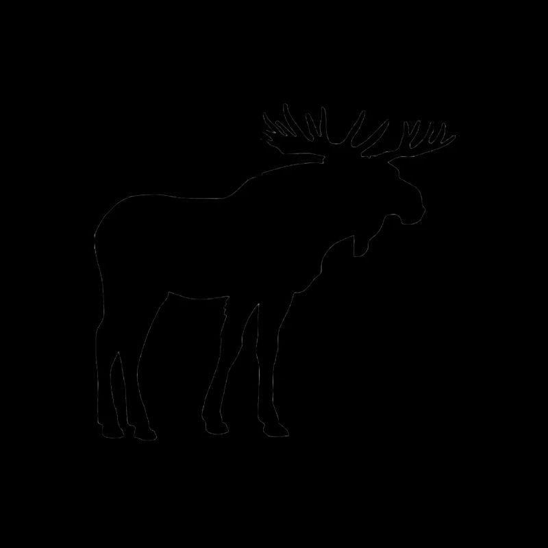 Moose are beautiful animals
