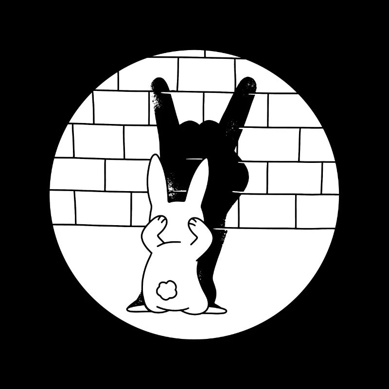 Funny shadow rabbit