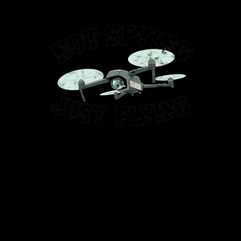Not spying just flying - pilot