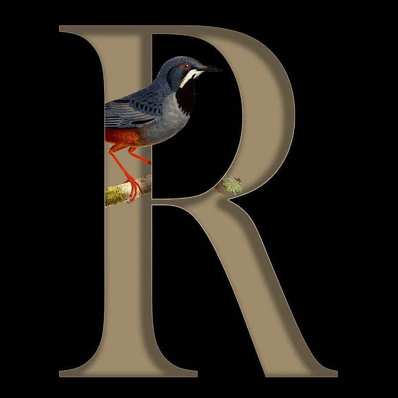 Initial letter R, Red-legged thrush bird