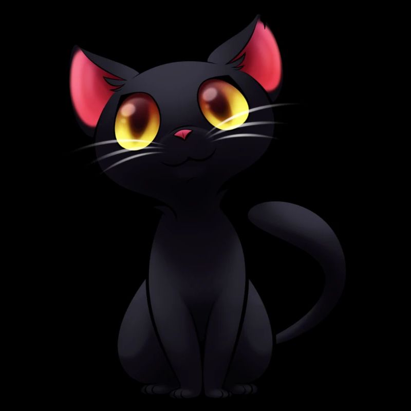 Schwarze Katze - schwarze Katze