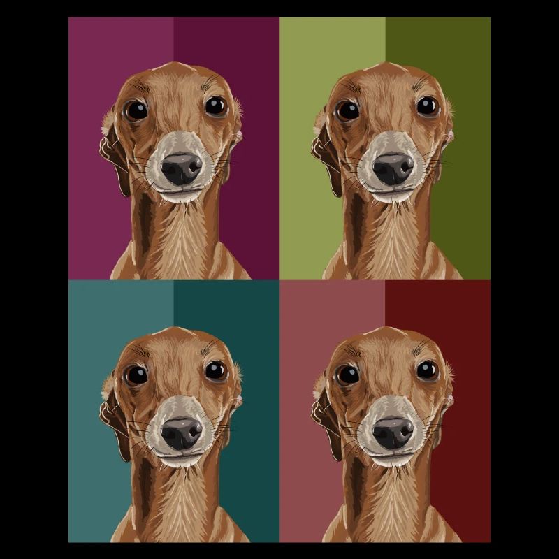 Greyhound4Colours