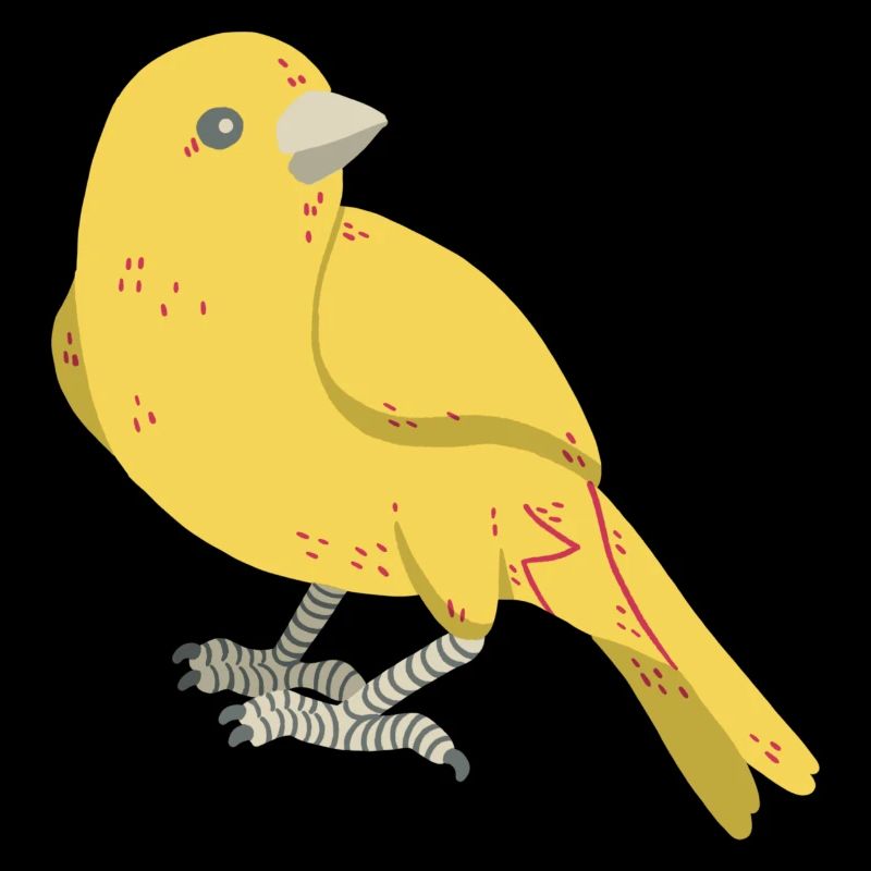 Canary