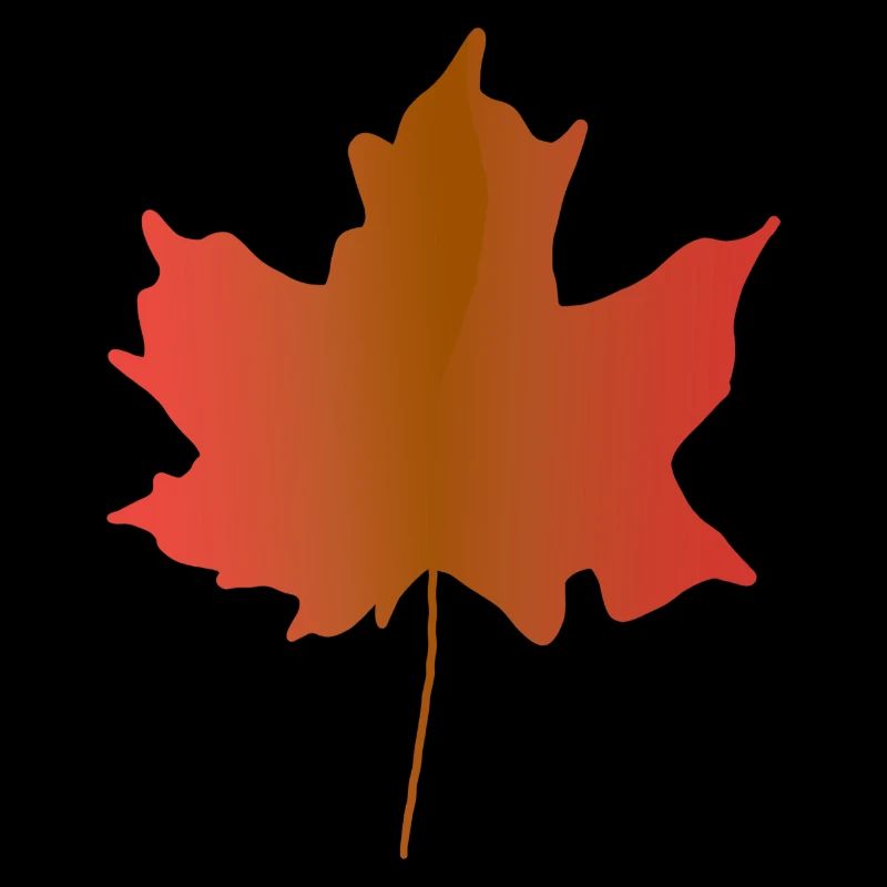 A red maple leaf from Canada
