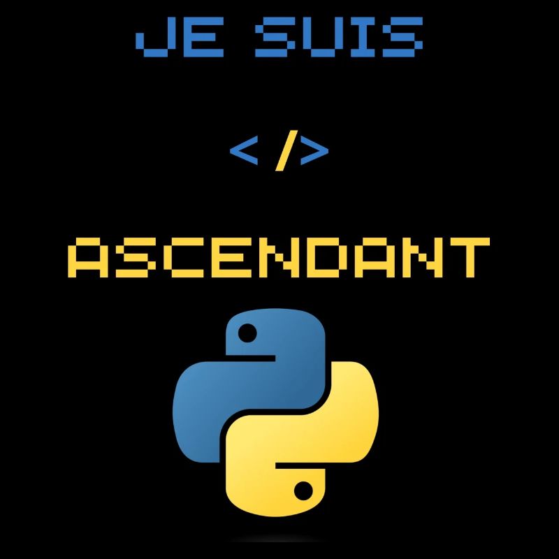 cadeau pour développeur python