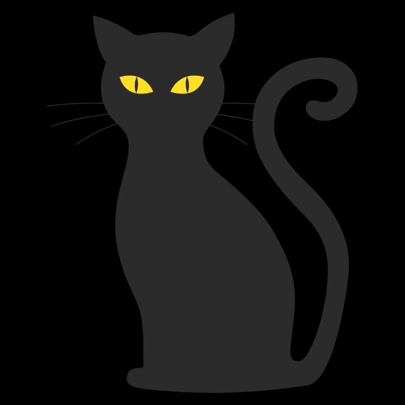 chat noir
