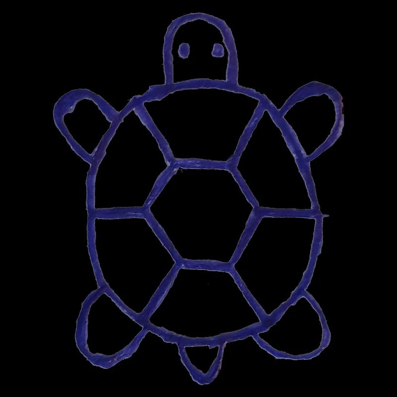 conception de merde de tortue 23