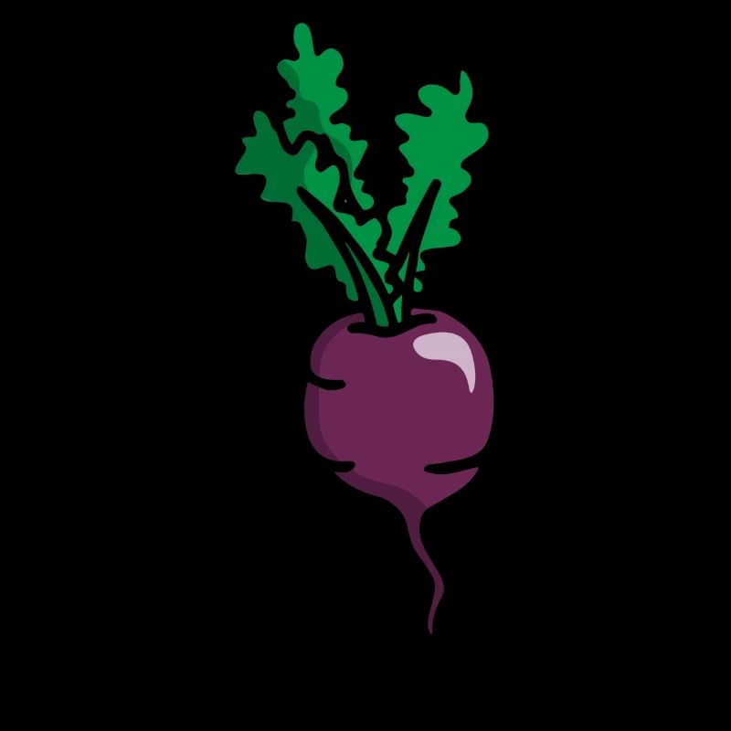 Radie rote Parterres Radish beetroot betterave
