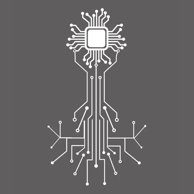Anatomical Heart CPU Processor Computer Programmer