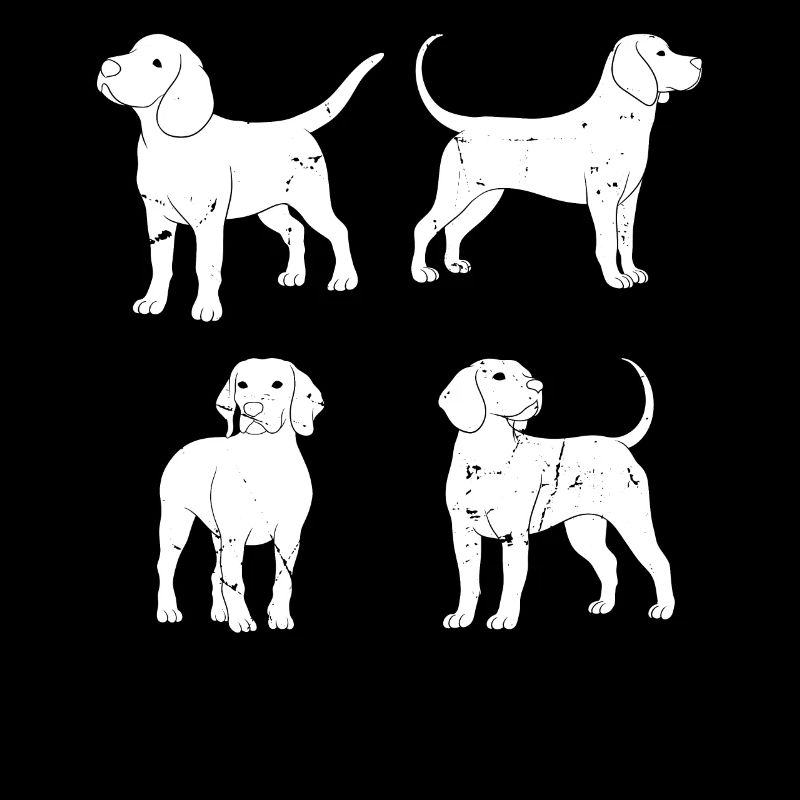 Chiots teckel Propriétaire de chien teckel