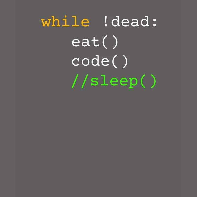 Programmierer Geschenk