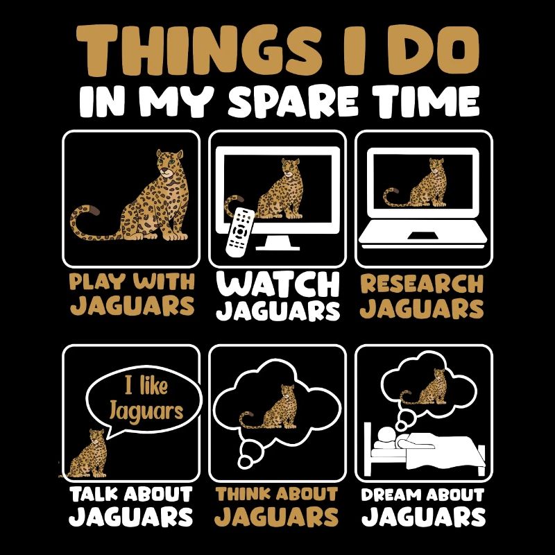 Cher cadeau de temps jaguar