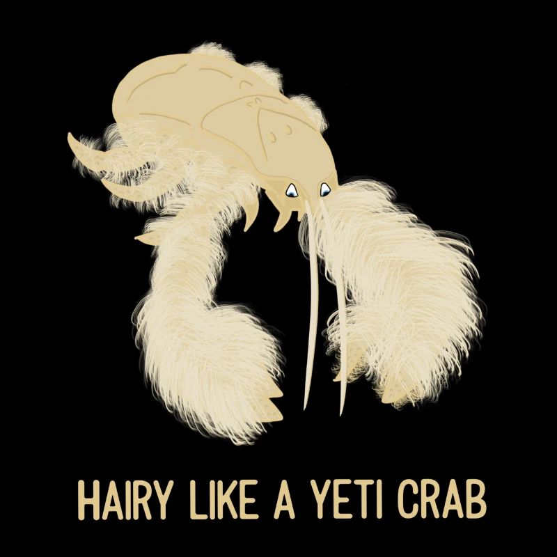 Haarig wie eine Yeti-Krabbe