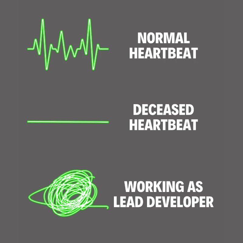 Lead Developer Funny Web Developer Work