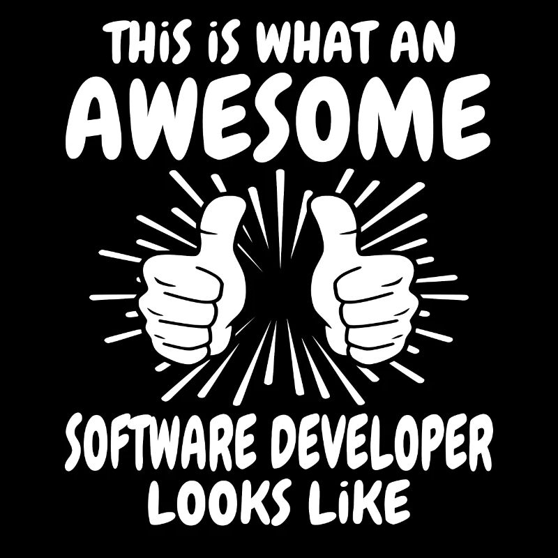 Software Entwickler