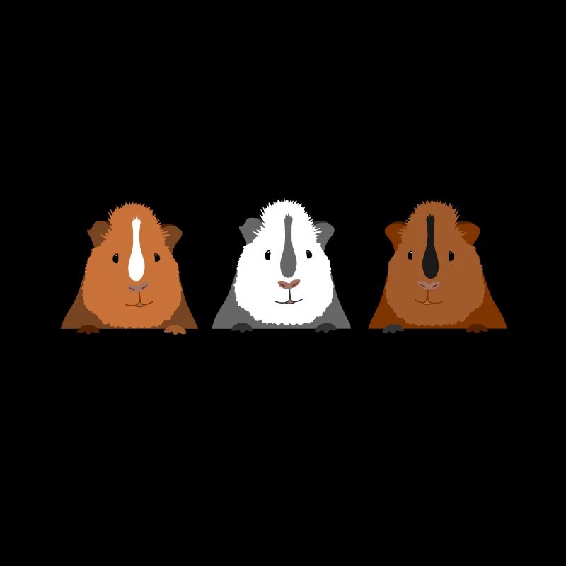 Cadeau mignon de 3 cochons d'Inde