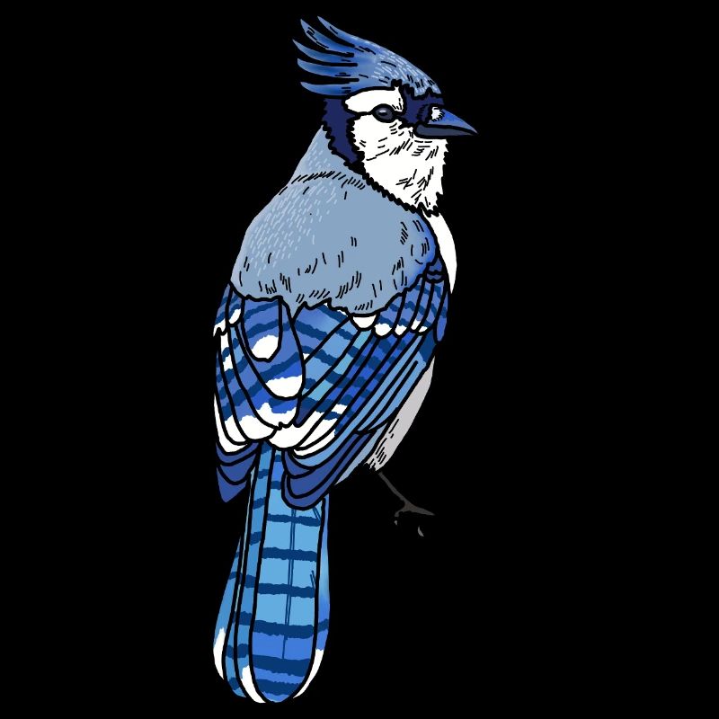 Blue jay
