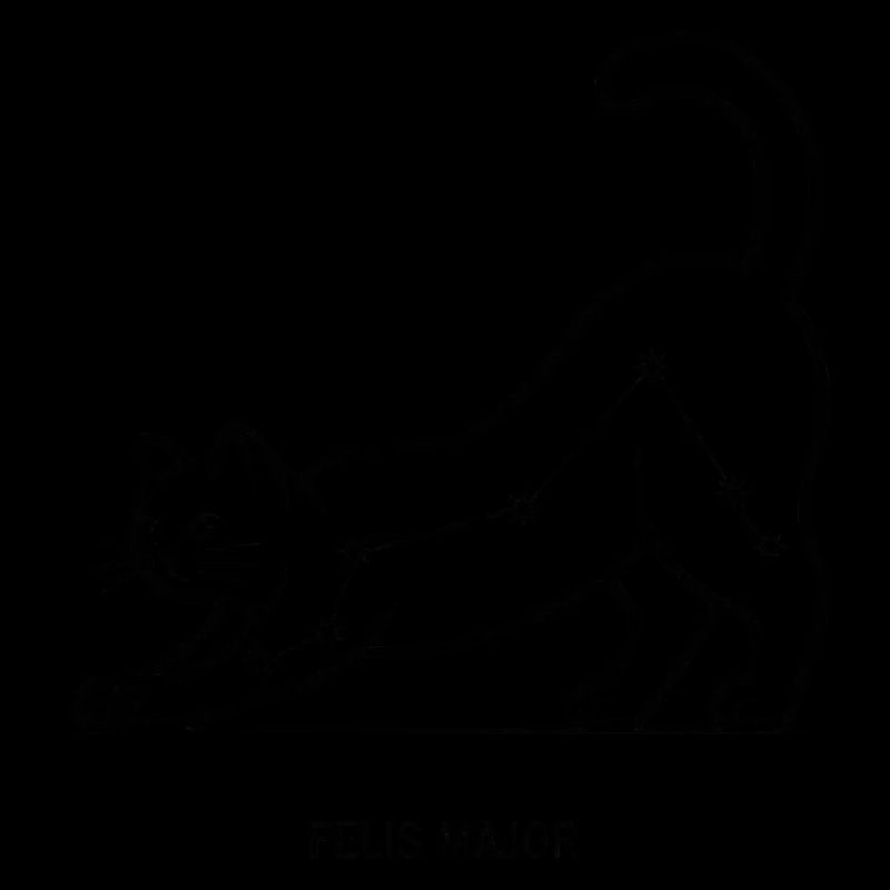 Felis Major
