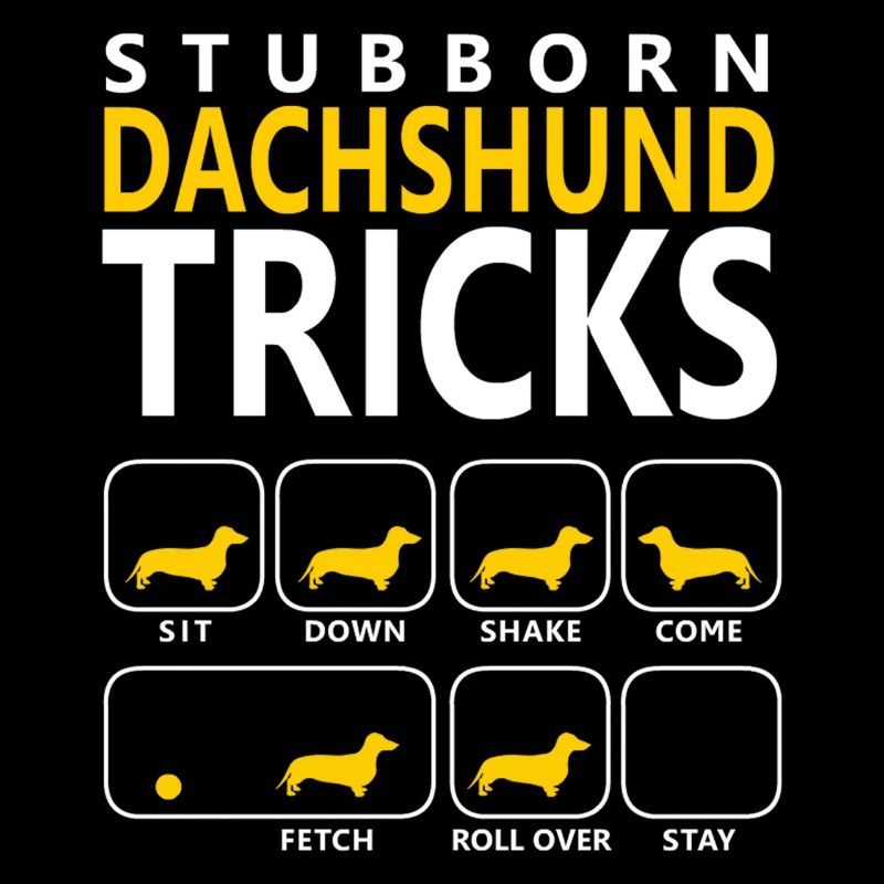 Hartnäckige Dackel-Tricks
