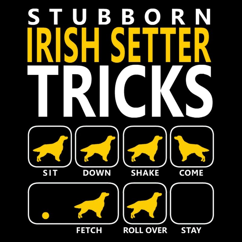 Hartnäckige Irischer Setter-Tricks