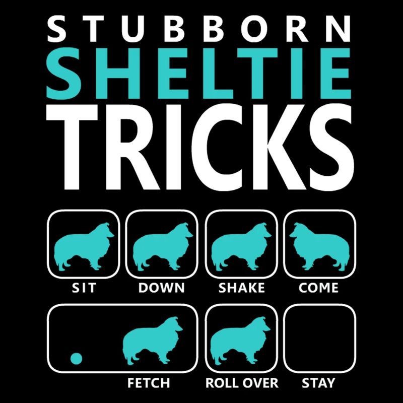 Hartnäckige Sheltie Tricks
