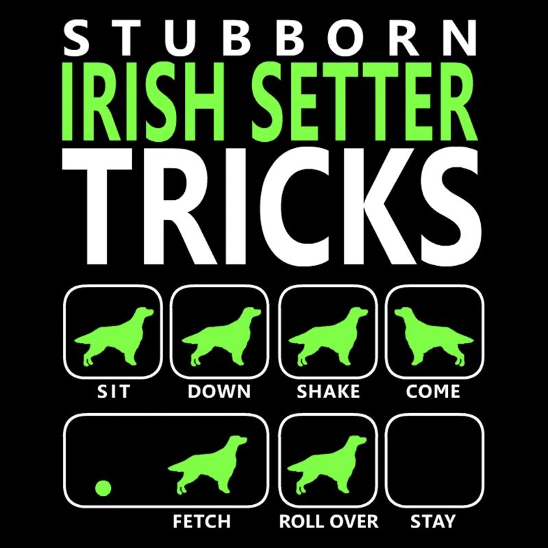 Hartnäckige Irish Setter Tricks