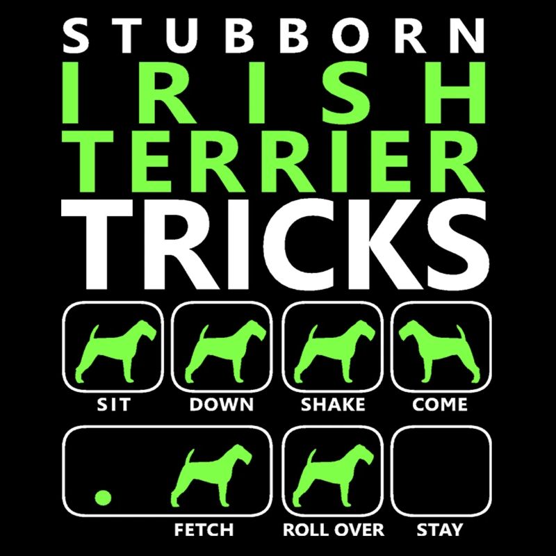 Hartnäckige Irish Terrier Tricks