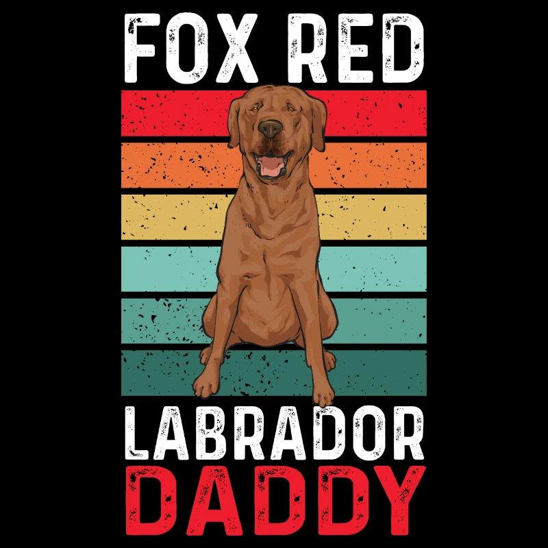 Foxred Labrador Fuchsroter Labrador Retriever