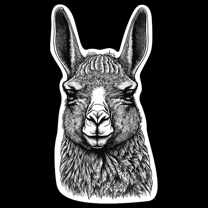 Black and White Llama Face Drawing with Patterns