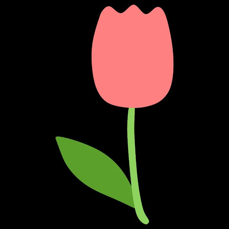 Tulpenblüte