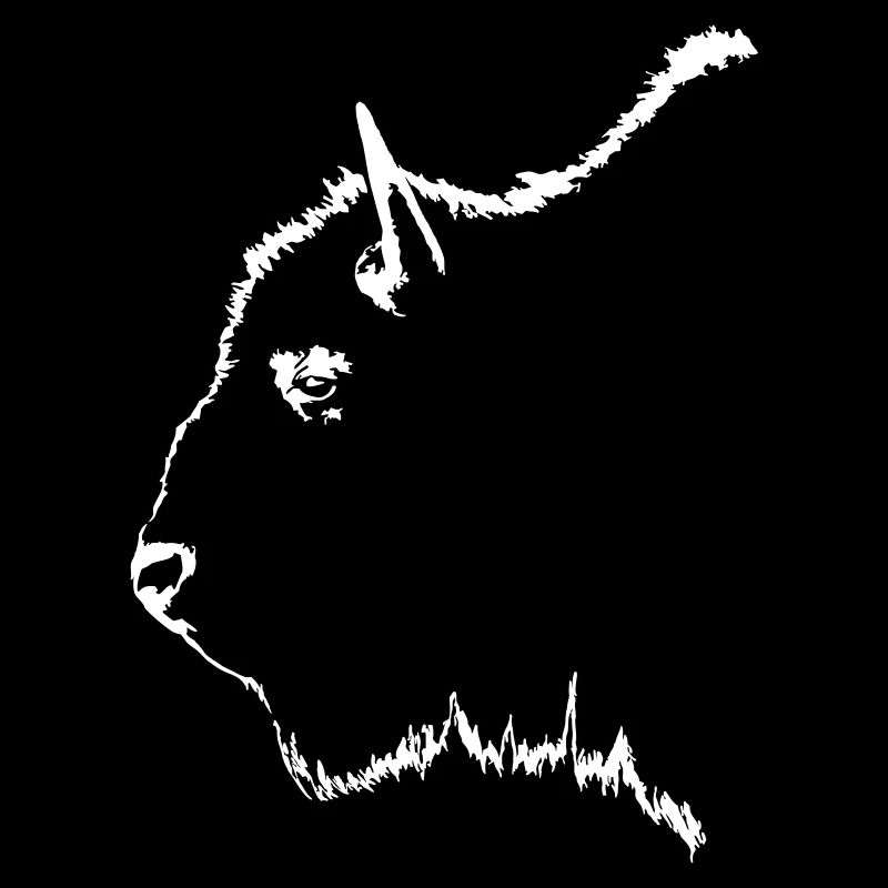 bison