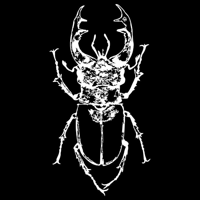 Stag Beetle Animal Insect Microscope