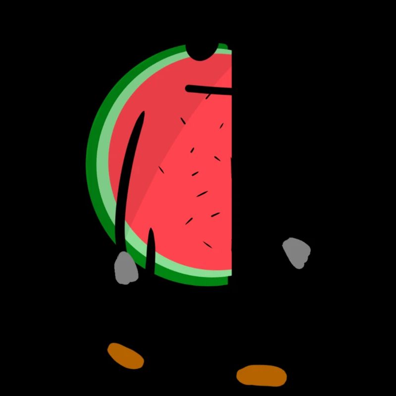 watermelon berberdesign