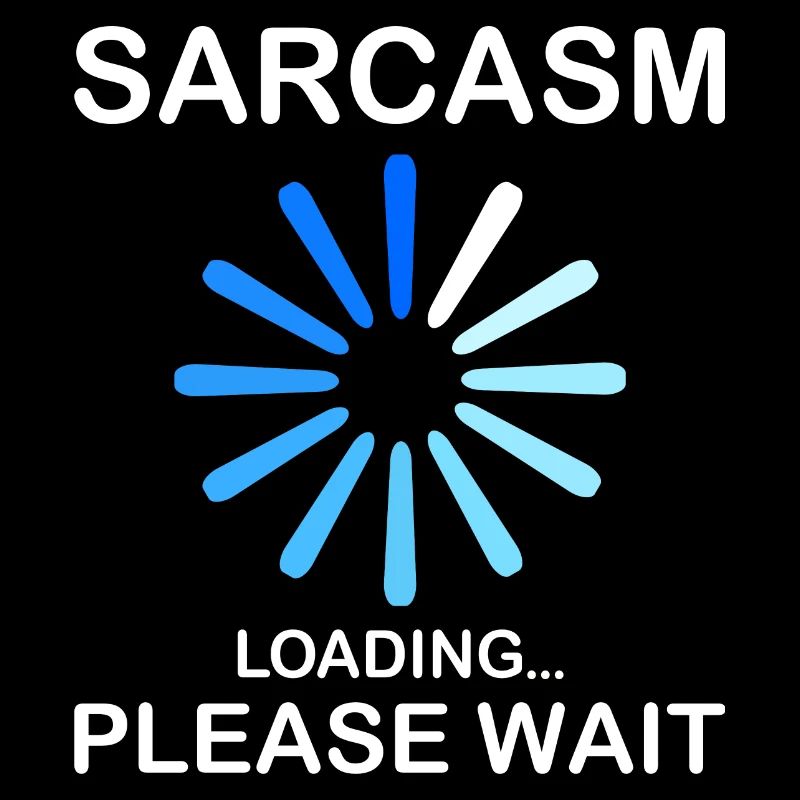 Sarcasm Sarcasm Loading Please Wait Funny