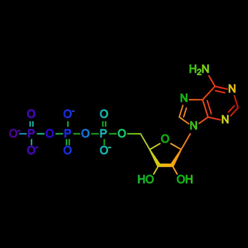 Adénosine triphosphate - ATP - Arc-en-ciel