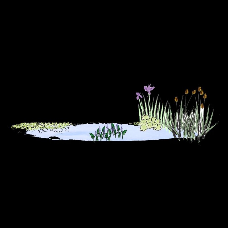 Pond