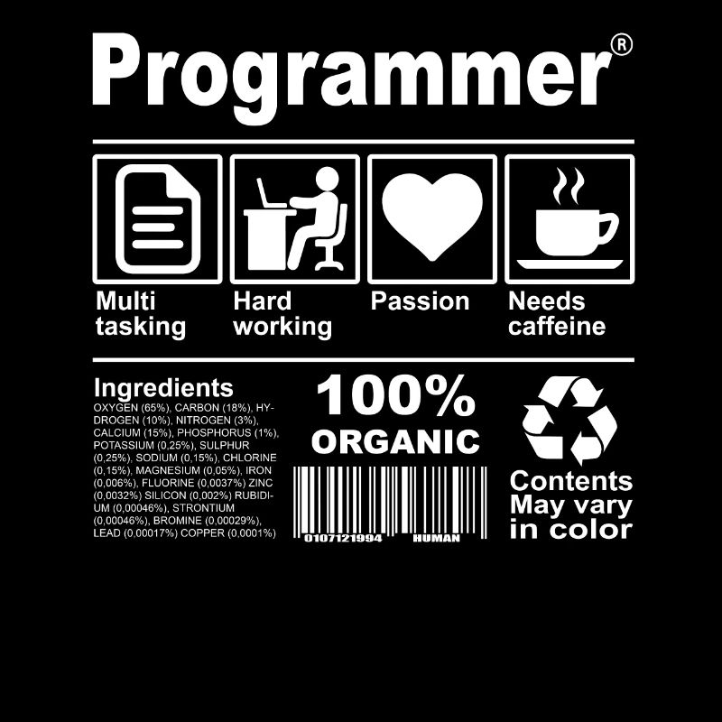 Programmer