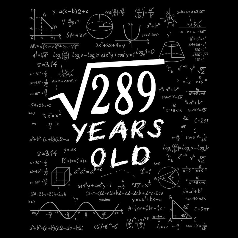 17th Birthday 17 years Square root of 289 math