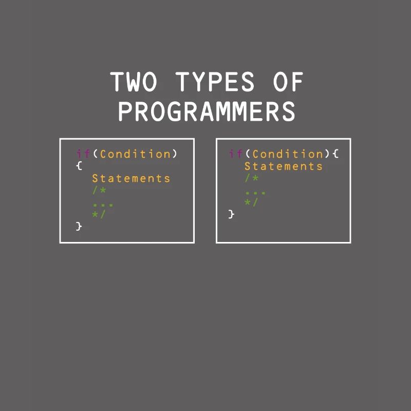 Deux types de programmeurs PHP HTML IT Developer