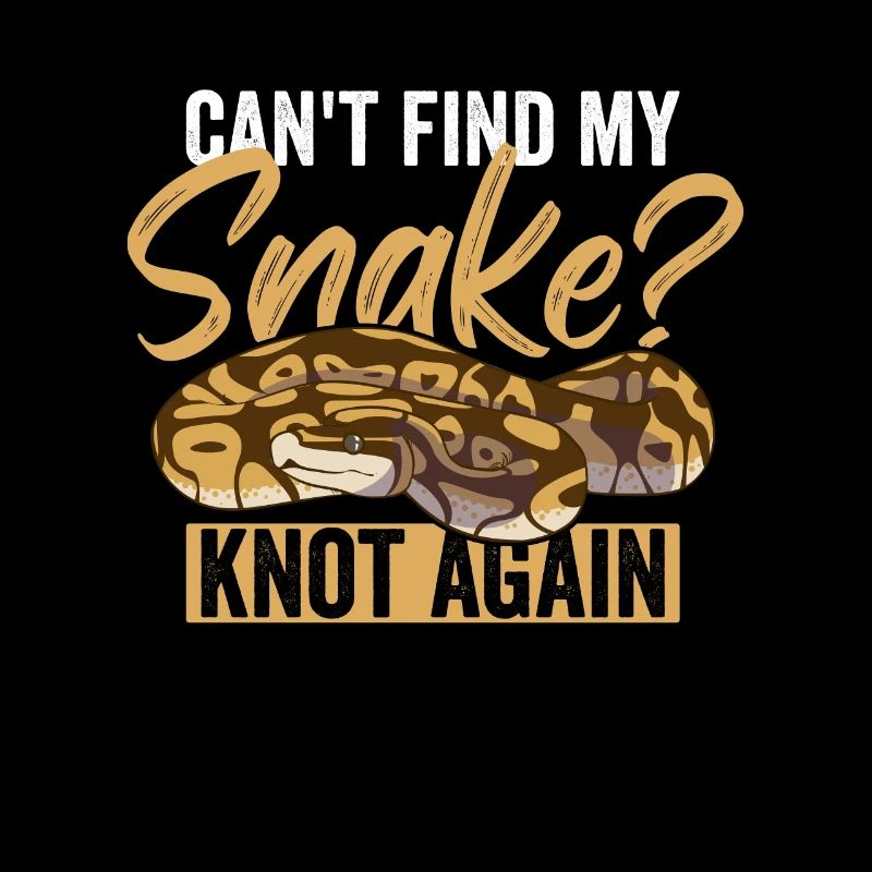 Königspython Ball Python