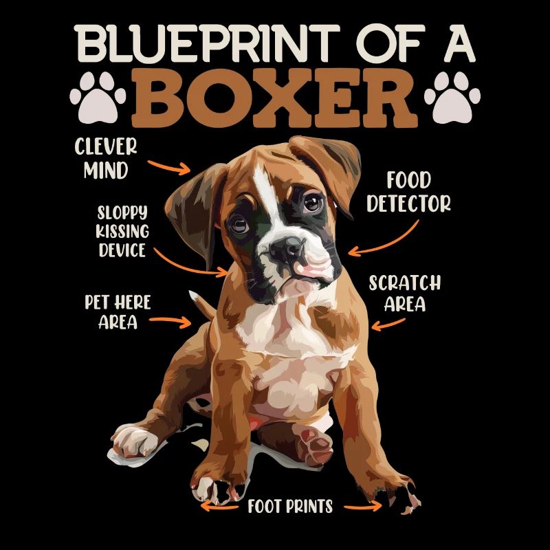 Deutscher Boxer BAUPLAN EINES BOXERS Lustiges