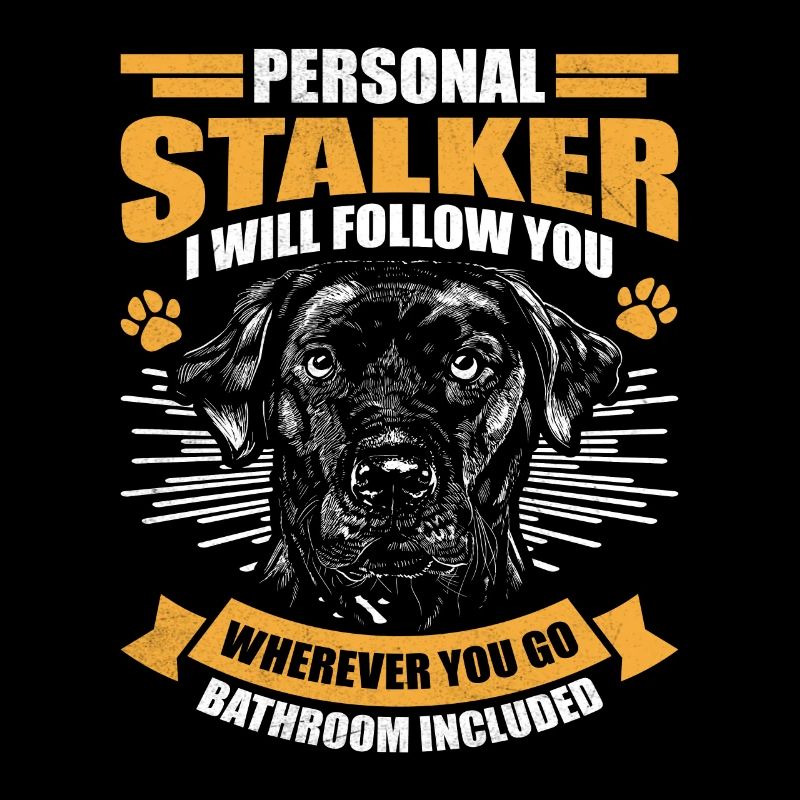 Labrador Retriever PERSONAL STALKER N’IMPORTE OÙ